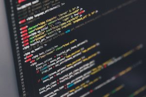 Entwicklung